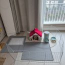 AP 동물병원 이미지