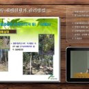 더덕산채
