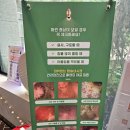 더힐동물의료센터 | 동물예방주사 하는 곳 찾는다면 한남 더힐동물의료센터 추천