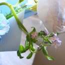 장미의거리13 | 강남예약꽃집 잠실꽃배달 블루 장미 승진 선물 꽃다발 라포레드희아틀리에 laforetdeheeatelier