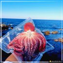 정훈환경 이미지