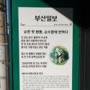 짬뽕전문점 여빈 부산수영점 | 얼큰한 짬뽕으로 해장가능한 수영동맛집 여빈 부산수영점