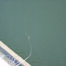 (주)보우 이미지