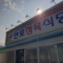안포정육식당