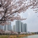 오송 호수공원 화장실 1 이미지