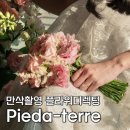 만삭촬영 플라워디렉팅 피다테르(Pieda-terre) 후기 : 가성비 촬영부케, 풍성한 생화 센터피스 가격