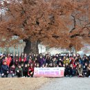 도계여중 이미지