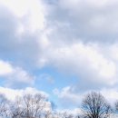 호수세탁 이미지