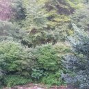 청평화이트펜션 이미지