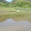 성기 농장 이미지