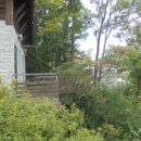 상영죽길 이미지