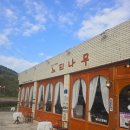 느티나무사우나 이미지