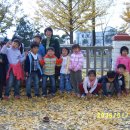 원삼초등학교(병설) 이미지