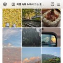 조은피드 이미지