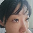 로울림 | 울산 속눈썹펌 프리미엄 노글루 케라틴펌으로 건강하고 예쁘게 로울림