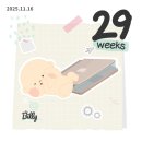 동그리멍 | 임신일기 ㅣ33주차 _ 임신9개월차 임산부, 임신후기