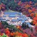 국내 여행지 추천 합천 해인사 절 경남 사찰 이미지