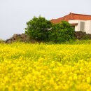 GS25김녕삼거리점 이미지