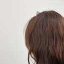 헤어비 이미지