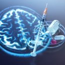 반야월로 이미지