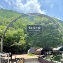 별을 담은 숲 이미지