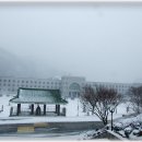 인곡관 당구장 Daum카페