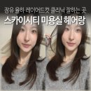 스카이헤어크리닉
