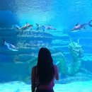 (주)아라마루 이미지