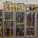 약초백숙토계정 이미지