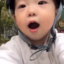 산삼보다좋은건고삼이라매