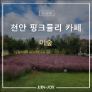 초록마을 남창점 | 천안 핑크뮬리 카페 이숲 내돈내산