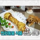 옴니스