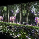 아르떼뮤지엄 이미지