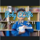 고Dog | 폴리어학원 ECP6 1년 후기와 입학 전 가장 궁금했던 질문 10가지 (ft. 동탄)