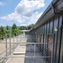 랩도그빌 이미지