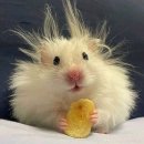 5월 천원의 행복음악회 | [일상mood] 2025년 5월 _ 영원하기를 바라는 찰나들을 이어 붙이면 영원이 된다