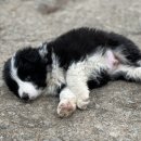 일명농장 이미지