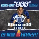 경희대BURN800복싱 이미지