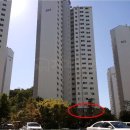 GS25휴먼시아 이미지