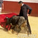 투우
