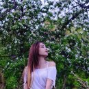 봄세탁소 이미지