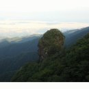 제 338차 부산수요만남산악회 산행안내 강원 원주 치악산(9월5일) 이미지