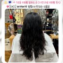 [대구] 빠쁘빠뿌 행복이시작되는 미용실-두류동 히피펌 잘하는 곳 추천 (자연스러운 히피펌 후기)
