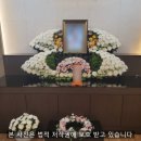 인천세종병원 | 인천세종병원장례식장 장례후기~!(조문 120명 장례비용)