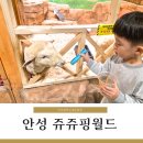 쥬쥬 | 37개월 아이와 다녀온 안성 실내동물원 쥬쥬핑 후기