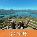 카페로움주 | 충주 악어봉 초보들을 위한 등산 코스