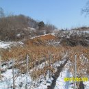 지인부동산중개사무소 이미지