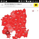 경북 성주군 개표현황 이미지