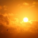 신평2동-1 이미지