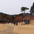 복권위원회의지원으로26녹색자금공모사업수행기관·희망찾기사회적협동조합/숲속의 오감여행참가후기